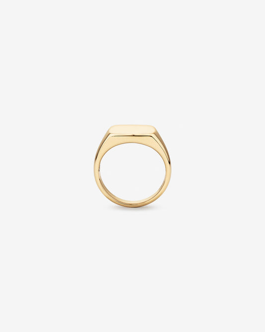 Signet Men's Wedding Band in Solid Gold 2