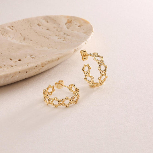 Star of David Hoop Earrings