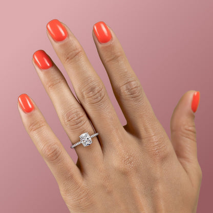 FLM244