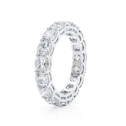 LAW456