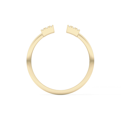 Wedding Band with 0.34 TCW Round and Emerald Cut Moissanite – Yellow, White, or Rose Gold