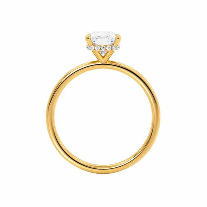 Elongated Cushion Hidden Halo Lab Grown Diamond Engagement Ring