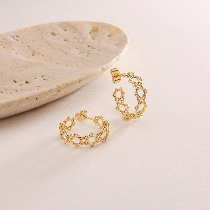 Star of David Hoop Earrings
