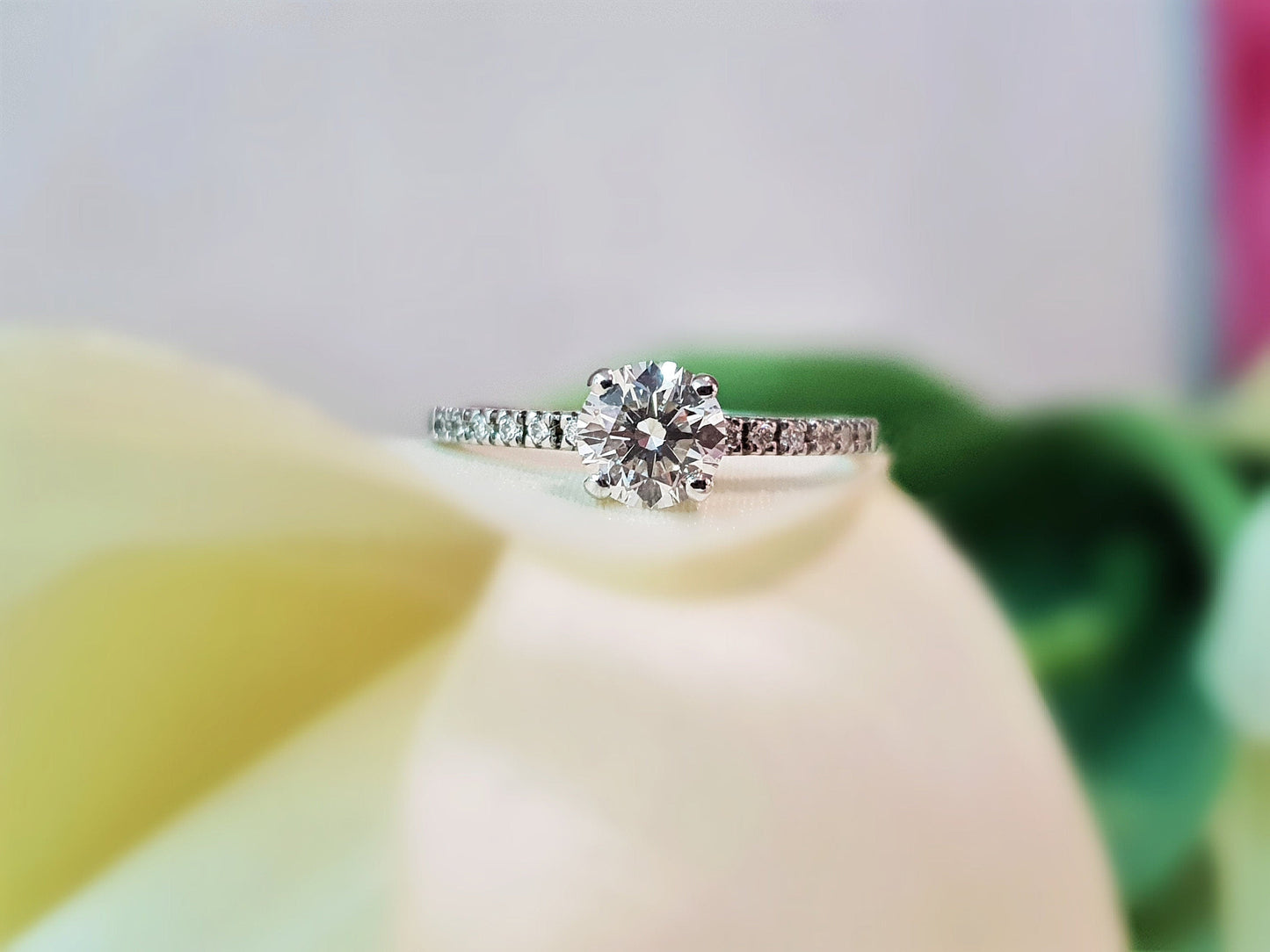 Round Cut Pave Style Lab Grown Diamond Engagement Ring