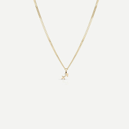 Tiny Zodiac Necklace