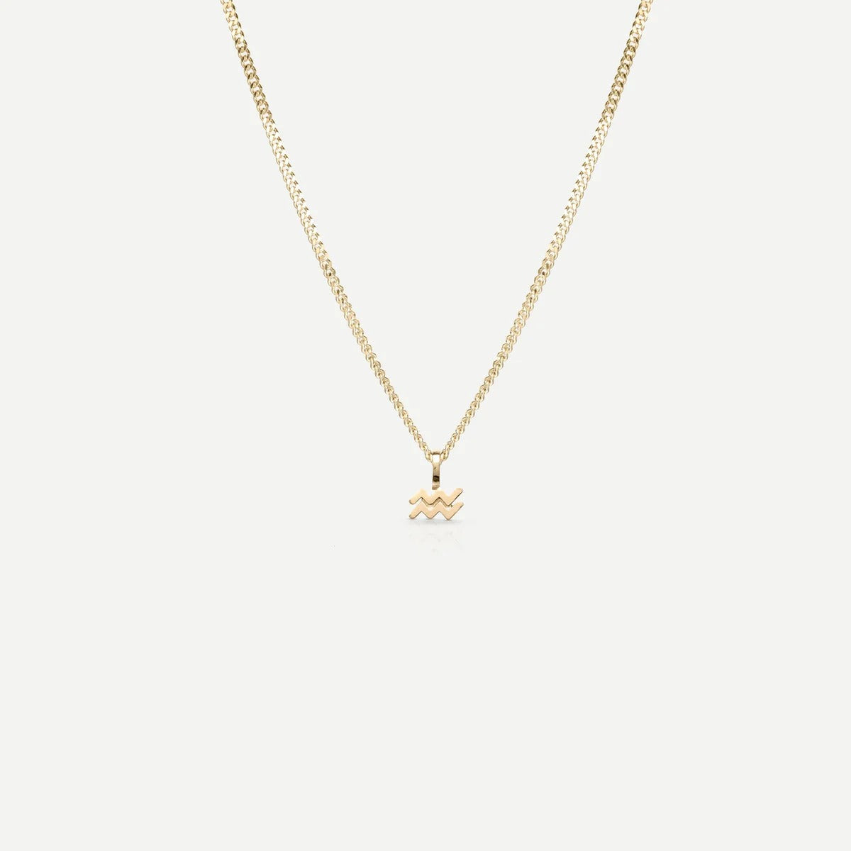 Tiny Zodiac Necklace