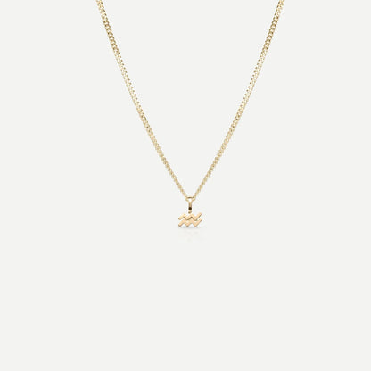 Tiny Zodiac Necklace