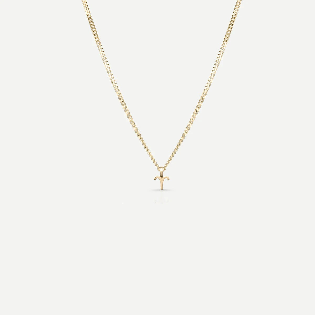 Tiny Zodiac Necklace