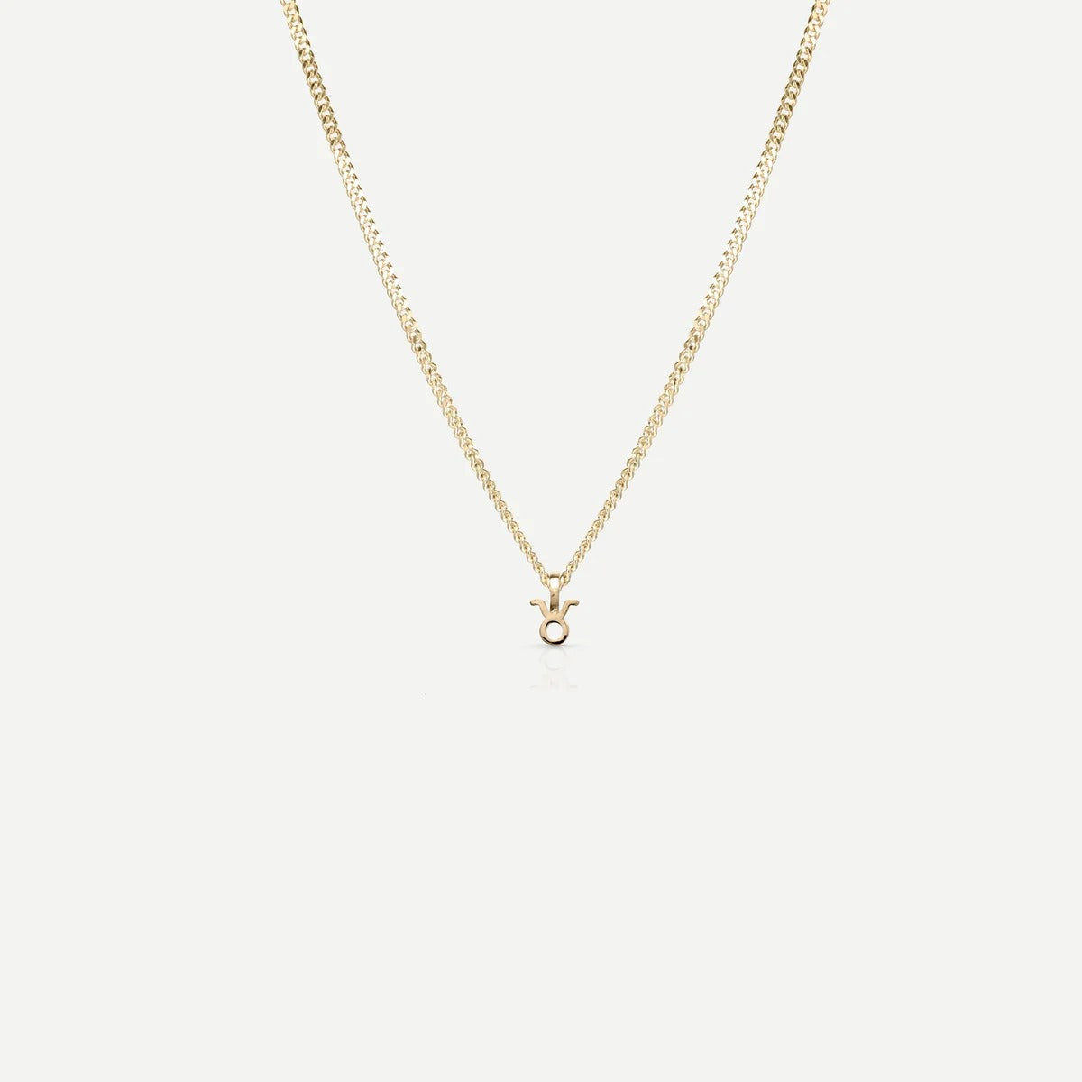 Tiny Zodiac Necklace