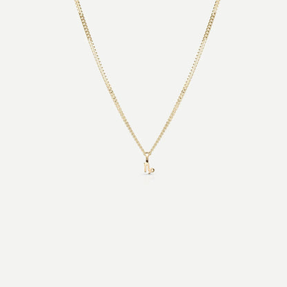 Tiny Zodiac Necklace