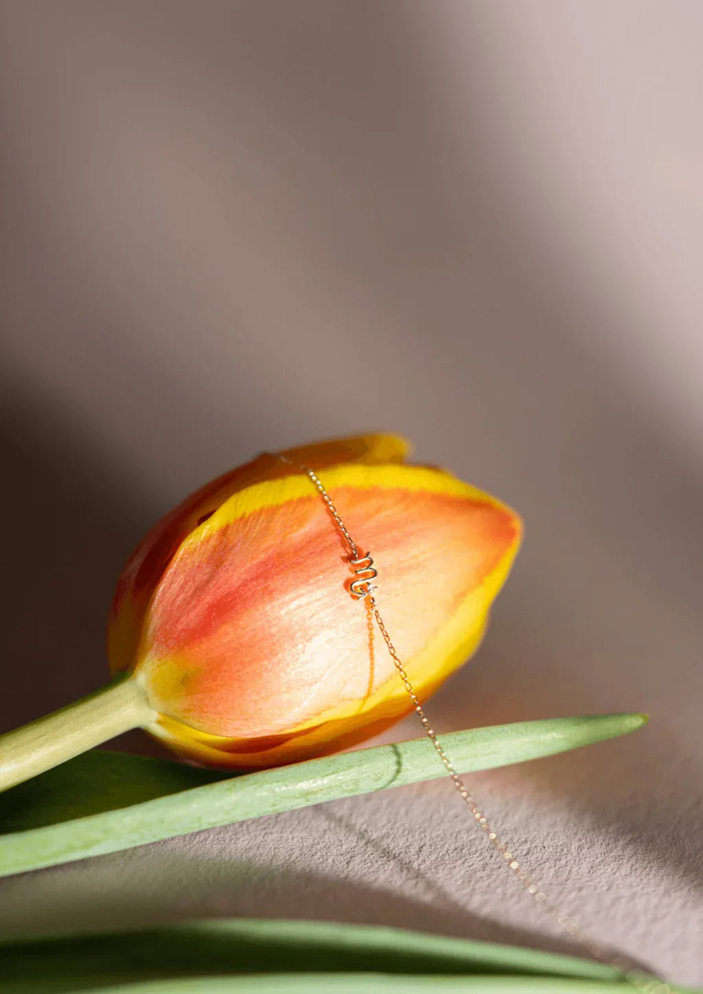 0.01 TCW Round Cut Moissanite Single Stone Zodiac Chain Bracelet